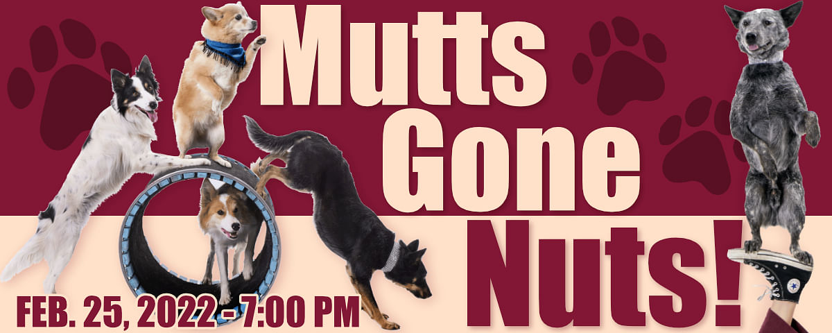 Mutts gone hot sale nuts